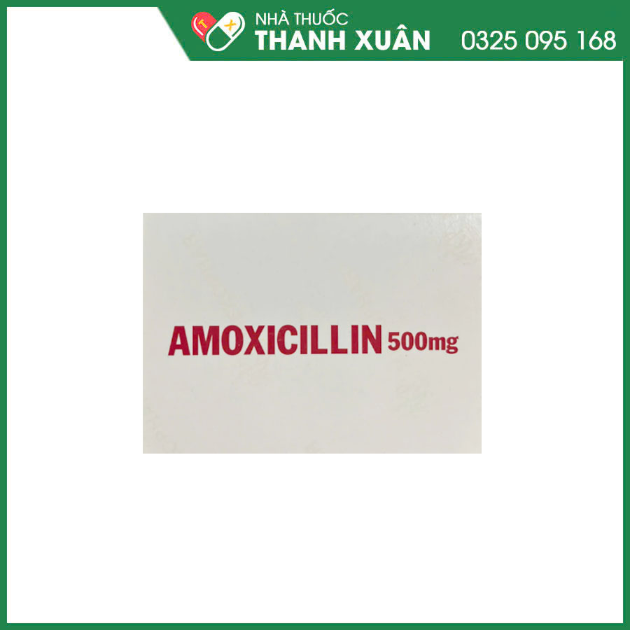 Amoxicillin 500mg Mekophar thuốc kháng sinh điều trị nhiễm khuẩn do vi khuẩn nhạy cảm